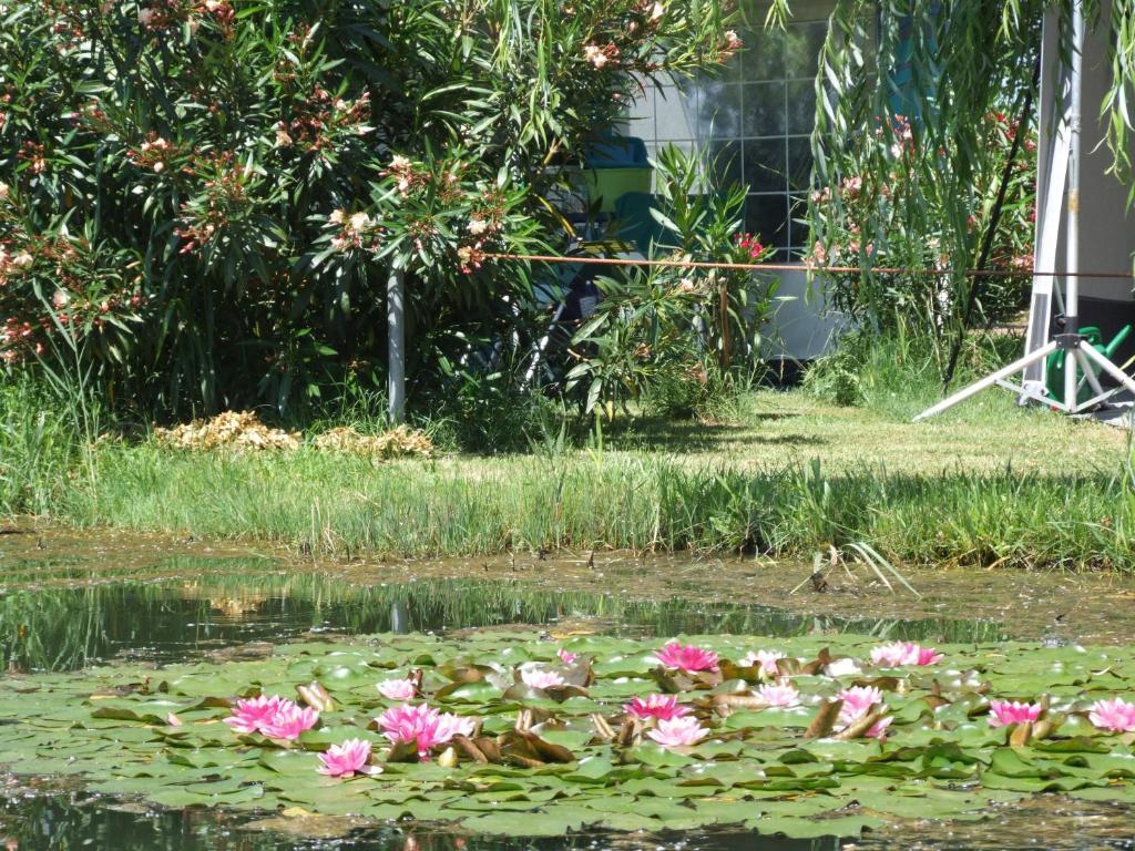 Camping Villaggio Italgest Sant'Arcangelo  Luaran gambar